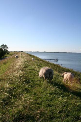 'T Wapen Van Middelie Exterior foto
